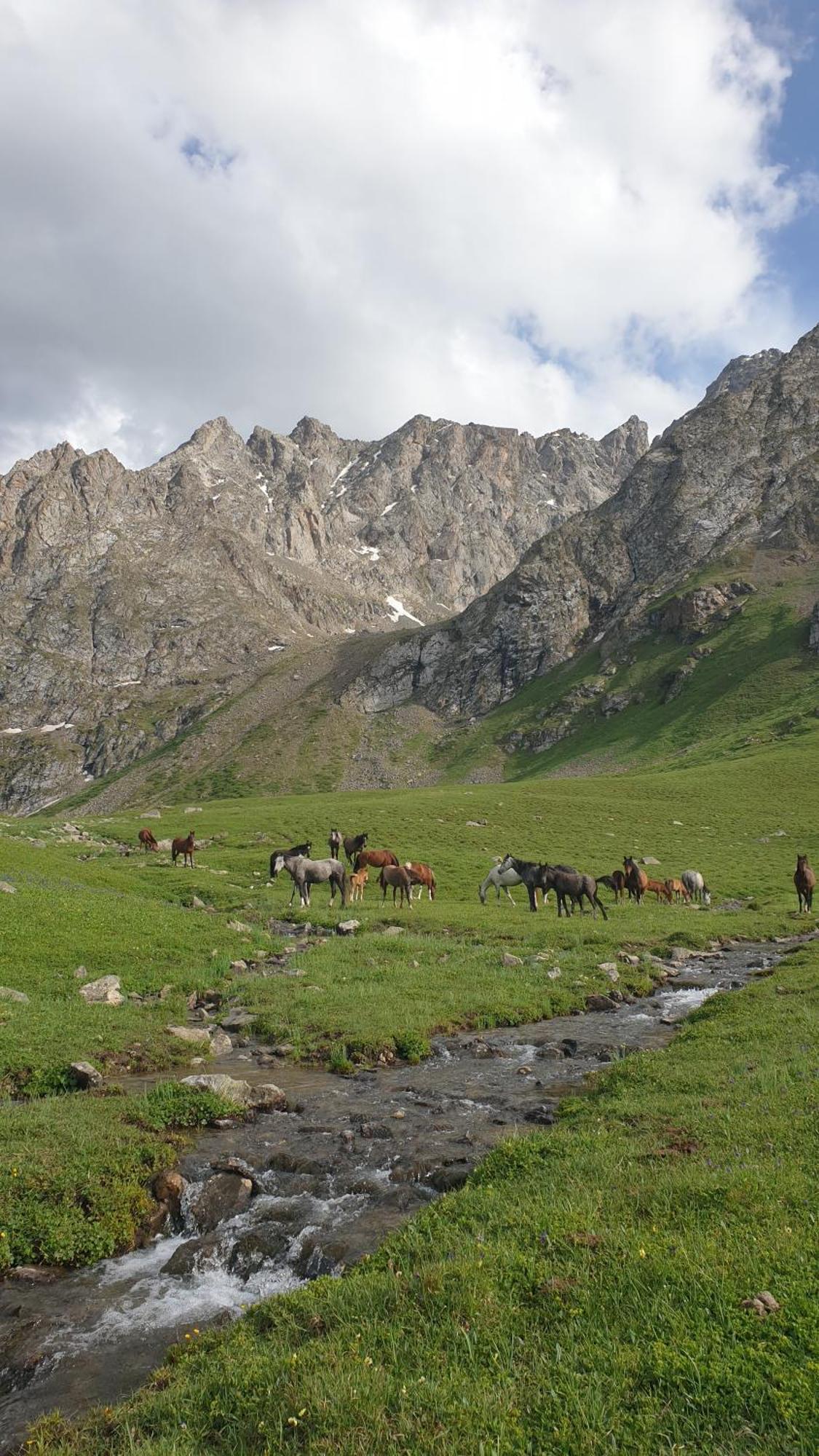 Mine Hostel Dzhergalan Jyrgalan 외부 사진